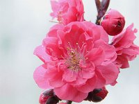 Luoyang 洛阳5