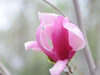 Luoyang 洛阳8