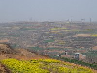 Luoyang 洛阳86