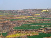 Luoyang 洛阳94