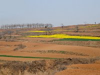 Luoyang 洛阳96