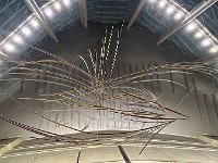 IMG 1131s