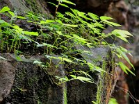ZhangJiaJie 张家界13