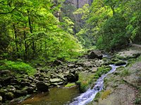 ZhangJiaJie 张家界14