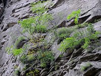 ZhangJiaJie 张家界15
