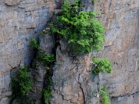 ZhangJiaJie 张家界24