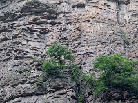 ZhangJiaJie 张家界3