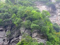 ZhangJiaJie 张家界4