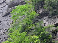 ZhangJiaJie 张家界5