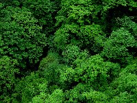 ZhangJiaJie 张家界54