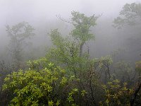 ZhangJiaJie 张家界59