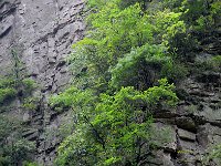 ZhangJiaJie 张家界6