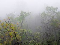 ZhangJiaJie 张家界60