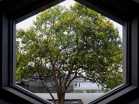 Suzhou 苏州博物馆2011 11