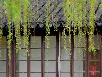 Suzhou 苏州2011 16