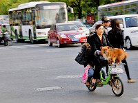 Suzhou 苏州2011 20