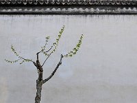 Suzhou 苏州2011 24
