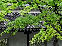Suzhou 苏州2011 4