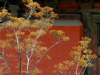 Datong 大同12