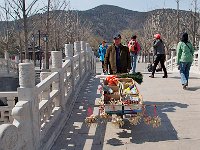 JinCi 晋祠33