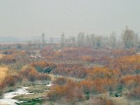 Taiyuan 太原15