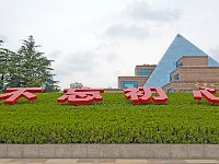 DSC 8700's