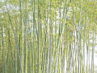 龙华革命烈士陵园