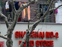 Shanghai 上海2011 20
