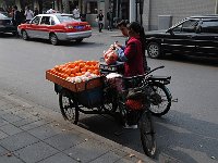 Shanghai 上海2011 22