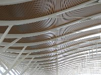 Shanghai 上海2011 41