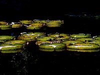 Shanghai 上海2012 19