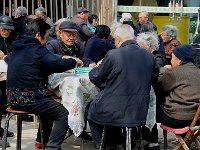 Xian 西安21