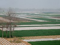 Xian 西安4