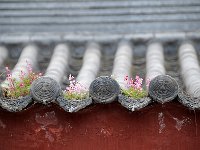 Xian 西安80