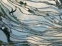 Yunnan 云南