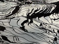 Yuanyang 元阳20