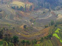 Yuanyang 元阳3
