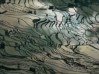 Yuanyang 元阳30