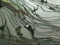 Yuanyang 元阳33