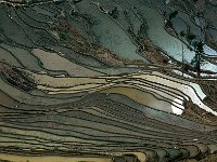 Yuanyang 元阳45