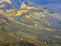Yuanyang 元阳5
