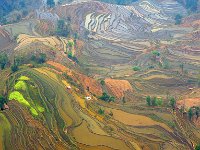 Yuanyang 元阳7