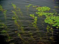 HangZhou 杭州2012 1