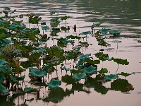 HangZhou 杭州2012 12