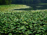 HangZhou 杭州2012 2