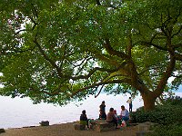 HangZhou 杭州2012 4