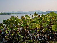 HangZhou 杭州2012 7