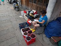 NanXun 南浔76