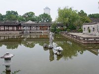 DSC 2866's