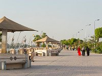 DSC 1806's